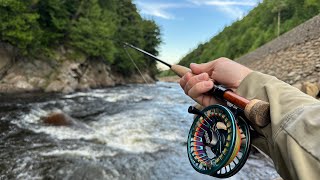 Another Ausable River fly fishing video [upl. by Esir]