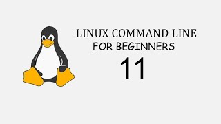 Linux Command Line For Beginners 11  echo command [upl. by Siward]