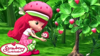 Moranguinho 🍓 A Pequenina Tuttifrutti 🍓 Episódios completos [upl. by Hewes]