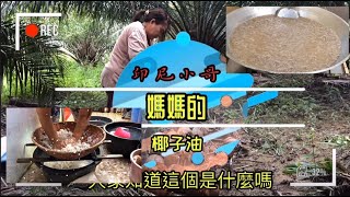 椰子油 製作過程 How to make coconut oil 印尼小哥 v log [upl. by Illehs]