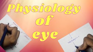 Physiology of eyeall about physiology of eyeall about eyeexplain physiology of eyeexplain eye [upl. by Dougie]