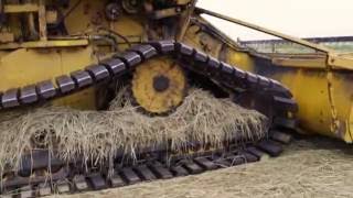 Waiting to Harvest  Harvesting in October  northern California photographer [upl. by Mike390]