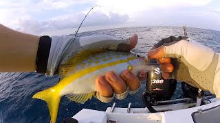 6 Yellowtail Snapper Fishing Tips to Help You Catch More Fish [upl. by Leviralc]