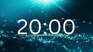 20 Minutes Timer With Relaxing Music [upl. by Herates585]