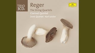 Reger String Quartet in E Flat Op109  1 Allegro moderato [upl. by Arodasi253]