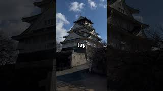 Osaka Castle A Hidden Gem in Japan 🇯🇵 facts discoverjapan japanOsakaCastleHistory [upl. by Nrehtak]