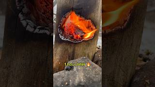 Frozen Swedish Torch vs DIY Firestarter [upl. by Legge]