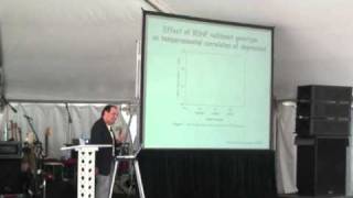 Genes and Mental Illness Whats the Connection  A Talk by Dr Daniel Weinberger [upl. by Fleta]