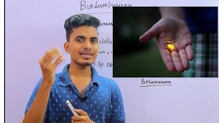 BIOLUMINESCENCE MECHANISM EXPLAINED [upl. by Jahdiel582]