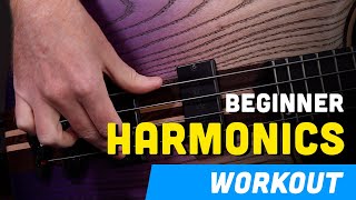 🎸Beginner Harmonics Workout Discover the Magic of Harmonics on Bass 🎶✨ [upl. by Arit]