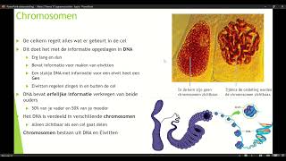 Klas 3 Mavo Thema 1 Organen en Cellen basisstof 4 Chromosomen [upl. by Nazler]