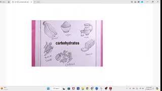 CBSE  CLASS 6  SCIENCE  CHAPTER 1 COMPONENTS OF FOOD  WORK SHEET [upl. by Aicram]