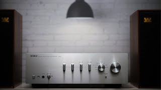 Yamaha AS501 Review     Simple amp Sweet [upl. by Nylyram745]