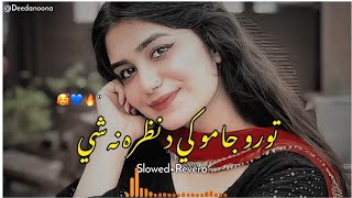 Toro Jamo Ke da Nazara Na Shi 🥰  Slowed And Reverb  Pashto New Song  Chicks4kids [upl. by Mathre]