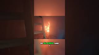 Alaska Homestead Build From Fire to Bunkhouse outdoorboys outdoor boys survival camping [upl. by Ahcirt]