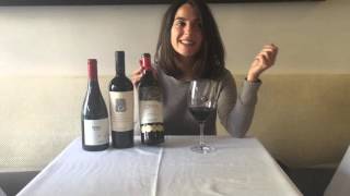 Winemaker Noelia Orts of Emiliana Organic Vineyards Chile Explains Organic amp Biodynamic Winemaking [upl. by Sopher127]