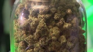 New marijuana laws now in effect  What to know [upl. by Viviana]