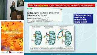 Pathogenesis and pathophysiology of PD  Fabio Blandini IRCCS Neurological Institute C Mondino [upl. by Gnav]