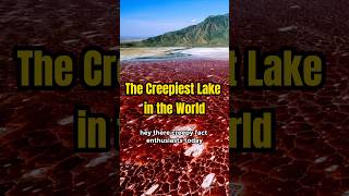 Discover the Terrifying Lake Natron Where Animals Turn to Stone [upl. by Digirb]