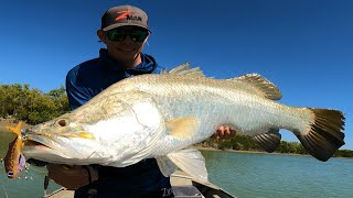 BARRA Fishing Remote Cape York Australia Part 2 [upl. by Heins]