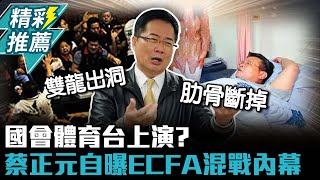 國會體育台上演？蔡正元自曝ECFA混戰內幕【CNEWS】TPPMedia [upl. by Cupo]