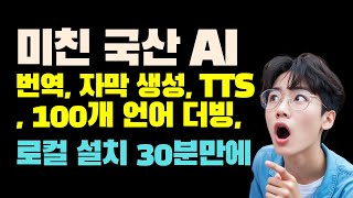 미친 국내기업의 인공지능 더빙번역자막생성 통합 툴 로컬에서 [upl. by Dnob]