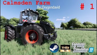 Ultra Realism on Calmsden Farm  Farming Simulator 22  Ep 1 [upl. by Reyam]