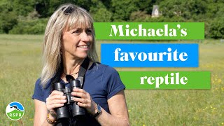 A chat with BBC Springwatchs Michaela Strachan at RSPB Arne [upl. by Engis120]