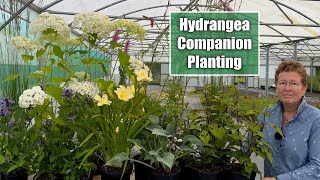 Companion Planting for Hydrangea in Part Shade  How To Build A Garden Border [upl. by Beetner]