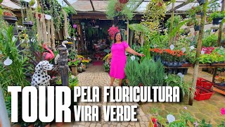 TOUR PELA FLORICULTURA VIRA VERDE FLORICULTURA EM GURIRIES  FLORES FOLHAGENS E MUITAS PLANTAS [upl. by Nelag]