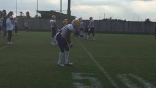 LSU QBs Danny Etling and Brandon Harris in passing drills [upl. by Taam]