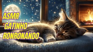 ASMR Gatinho Fofo Ronronando – Sons Calmantes para Reduzir Ansiedade [upl. by Neersin]