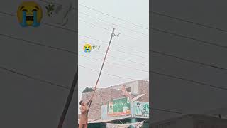 He risked his life to save a pigeon from electronic wires pigeon shorts [upl. by Latsyrk626]