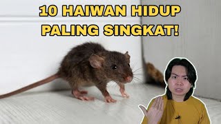 10 Haiwan Hidup Paling Singkat [upl. by Rieth563]