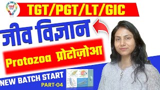 TGT PGT LT GIC BIOLOGY Protozoa प्रोटोज़ोआ LEC04  biology protozoa BY DEEPSHIKHA MAAM ugcnet [upl. by Ynney]