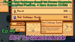 Stardew Valley Meadowlands Farm Ep46 Finally Red Cabbage Seed 1st House Upgrade Ice Festival [upl. by Robb137]