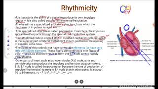 Autorhythmicity and excitability of cardiac muscle part 2 [upl. by Htaras409]