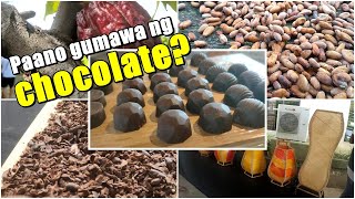 Cacao Farm TourPaano Gumawa ng ChocolateTableaHot Milk mula sa CacaoFIFTACBrgy DiaatMaAurora [upl. by Ynotna]