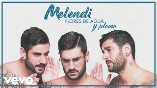 Melendi  Flores de Agua y Plomo Audio [upl. by Amlas]