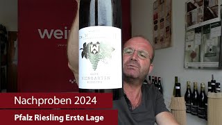 Nachproben 2024  Pfalz Riesling Erste Lage [upl. by Aldora]