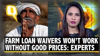 Farm Loan Waivers Won’t Work Without Proper Prices Say Experts  The Quint [upl. by Gentes]