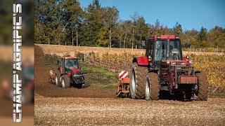 Case IH 1255 XL  Magnum MX200  Bêchage des terres à vignes [upl. by Eutnoj947]