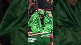 YOUN SAKINA NE PUKARA BEST EVER NOHA 2024  Najaf Ali Saffvi [upl. by Lorien]