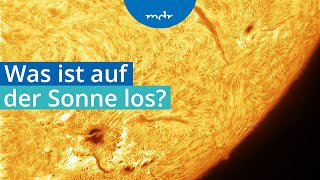 Sonnenflecken und Polarlichter Was ist auf der Sonne los  MDR Wissen  MDR [upl. by Nauq581]