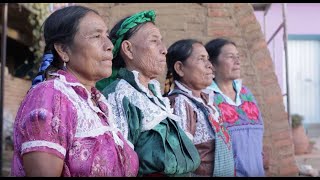 Taller quotHorno de leña libre de humoquot en San Marcos Tlapazola Oaxaca [upl. by Asante]