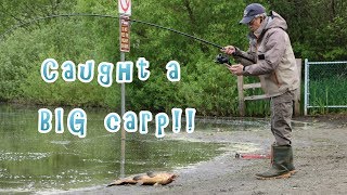 Caught a big fish  carp at Deer Lake Burnaby BC Canada [upl. by Oleg]