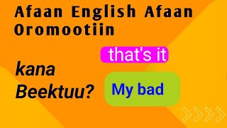 barumsa afaan english oromolanguage amharic barnootaafaanoromoofiingliiffa oromo [upl. by Lenroc353]