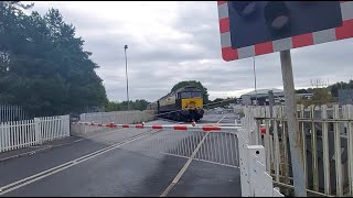 Northern Belle Train Denaby Level Crossing south Yorkshire Wed 4th September 2024 [upl. by Selden]