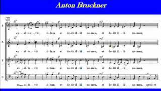 Christus factus est  Bruckner  Alto 1wmv [upl. by Eimile]