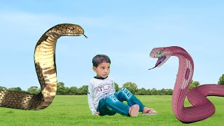 saamp wala video  snake video  short movie [upl. by Anij]